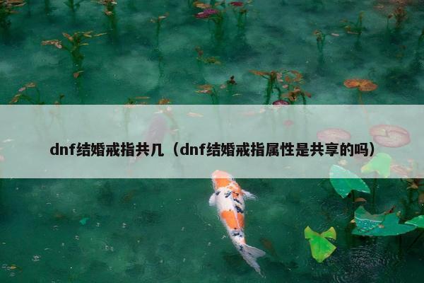 dnf结婚戒指共几（dnf结婚戒指属性是共享的吗）