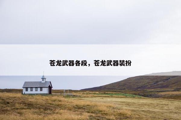 苍龙武器各段，苍龙武器装扮