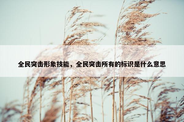 全民突击形象技能，全民突击所有的标识是什么意思