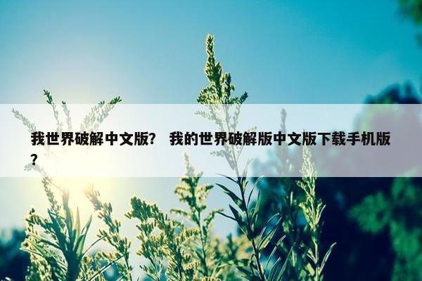 我世界破解中文版？ 我的世界破解版中文版下载手机版？