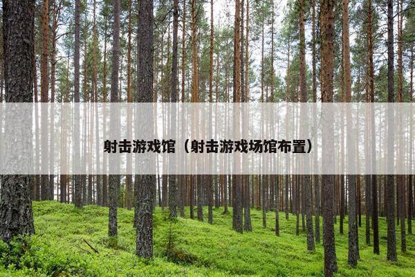 射击游戏馆（射击游戏场馆布置）
