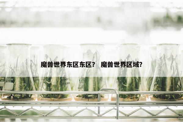 魔兽世界东区东区？ 魔兽世界区域？