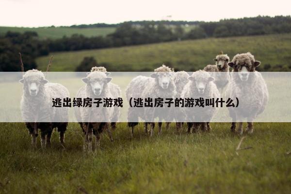逃出绿房子游戏（逃出房子的游戏叫什么）