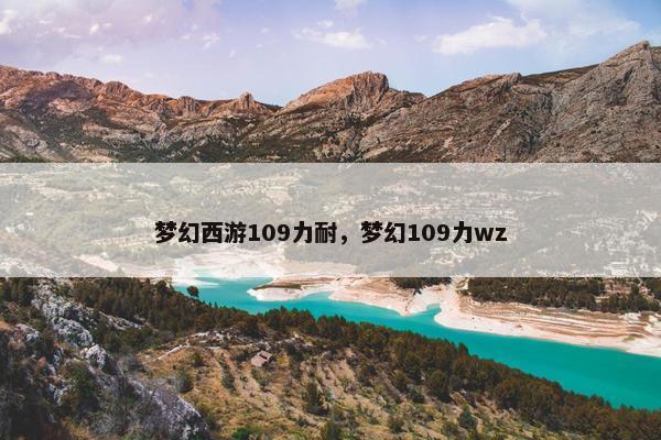 梦幻西游109力耐，梦幻109力wz