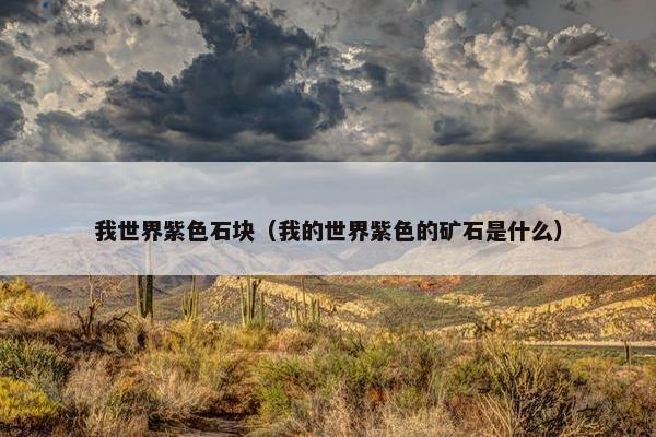 我世界紫色石块（我的世界紫色的矿石是什么）
