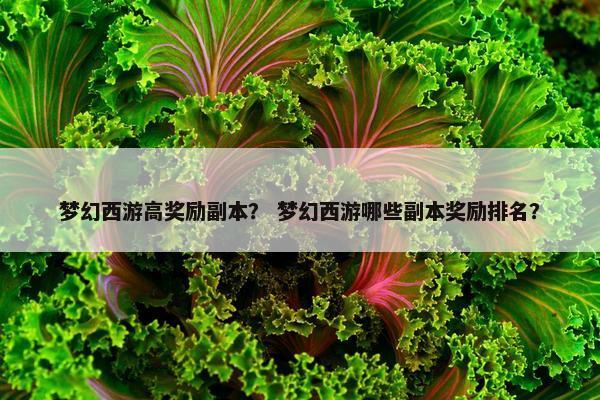 梦幻西游高奖励副本？ 梦幻西游哪些副本奖励排名？