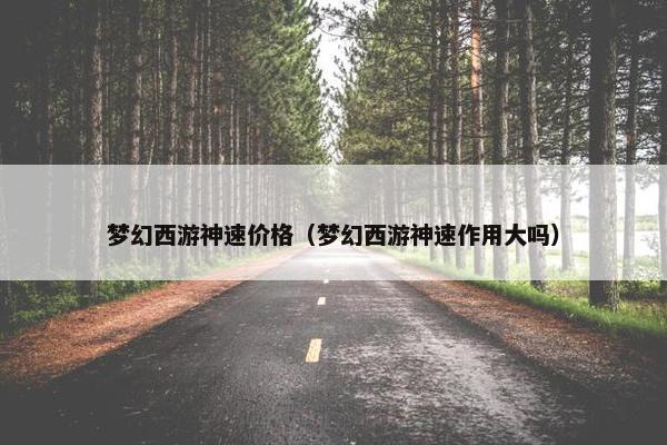 梦幻西游神速价格（梦幻西游神速作用大吗）