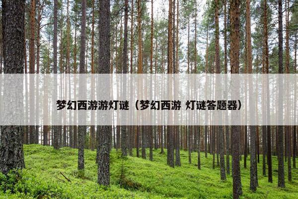 梦幻西游游灯谜（梦幻西游 灯谜答题器）