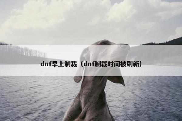 dnf早上制裁（dnf制裁时间被刷新）