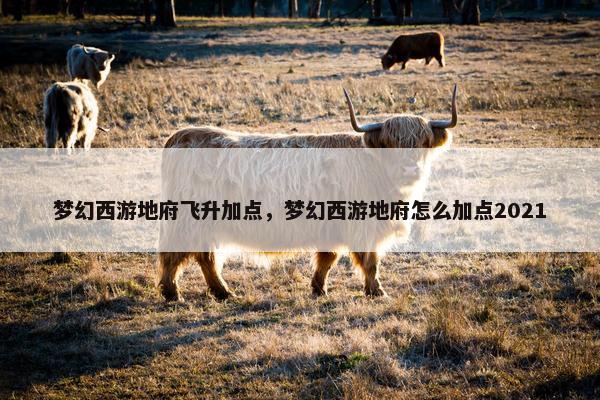 梦幻西游地府飞升加点，梦幻西游地府怎么加点2021