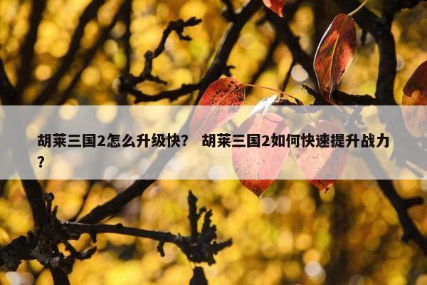 胡莱三国2怎么升级快？ 胡莱三国2如何快速提升战力？