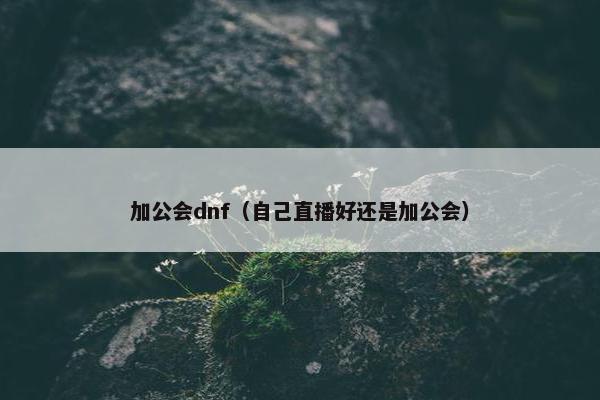 加公会dnf（自己直播好还是加公会）