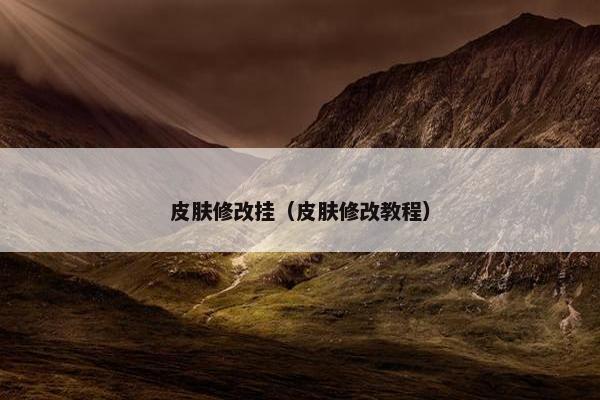 皮肤修改挂（皮肤修改教程）