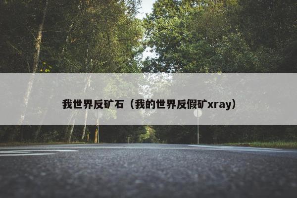 我世界反矿石（我的世界反假矿xray）