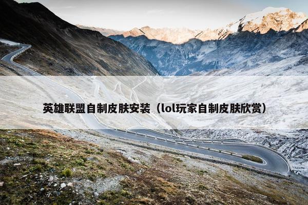 英雄联盟自制皮肤安装（lol玩家自制皮肤欣赏）