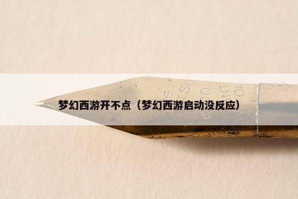 梦幻西游开不点（梦幻西游启动没反应）
