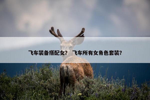 飞车装备搭配女？ 飞车所有女角色套装？