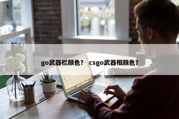 go武器栏颜色？ csgo武器框颜色？