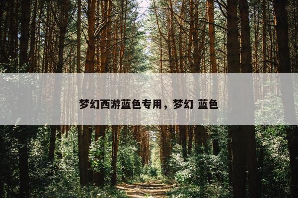 梦幻西游蓝色专用，梦幻 蓝色