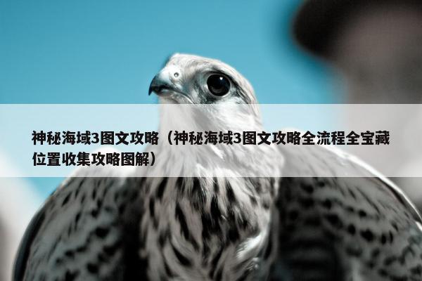 神秘海域3图文攻略（神秘海域3图文攻略全流程全宝藏位置收集攻略图解）