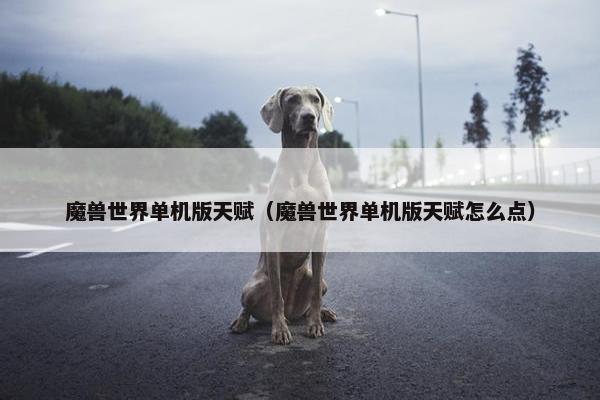 魔兽世界单机版天赋（魔兽世界单机版天赋怎么点）