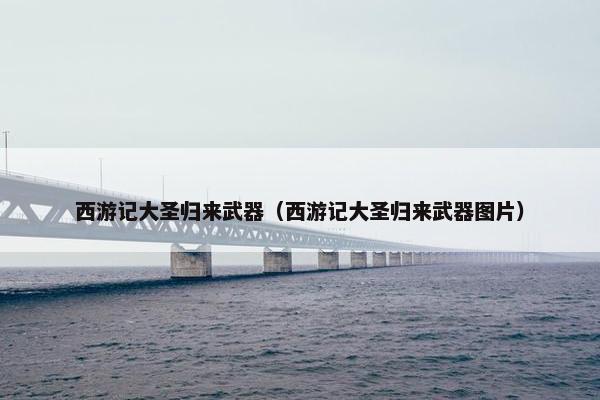 西游记大圣归来武器（西游记大圣归来武器图片）