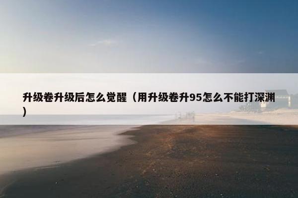 升级卷升级后怎么觉醒（用升级卷升95怎么不能打深渊）