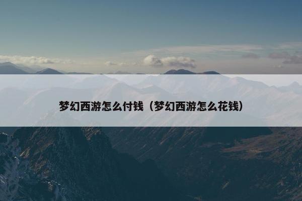 梦幻西游怎么付钱（梦幻西游怎么花钱）
