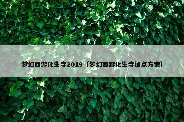 梦幻西游化生寺2019（梦幻西游化生寺加点方案）
