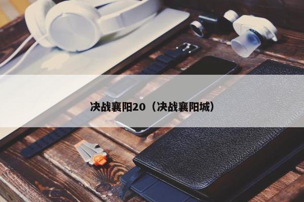 决战襄阳20（决战襄阳城）