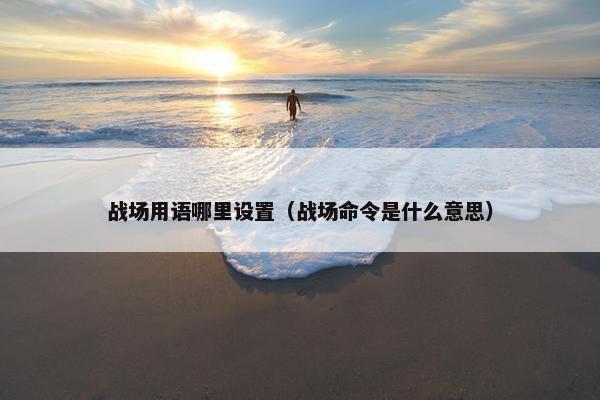 战场用语哪里设置（战场命令是什么意思）