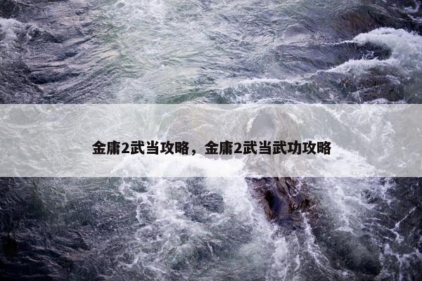 金庸2武当攻略，金庸2武当武功攻略