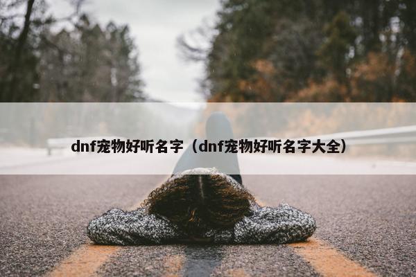 dnf宠物好听名字（dnf宠物好听名字大全）