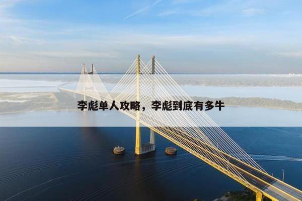 李彪单人攻略，李彪到底有多牛