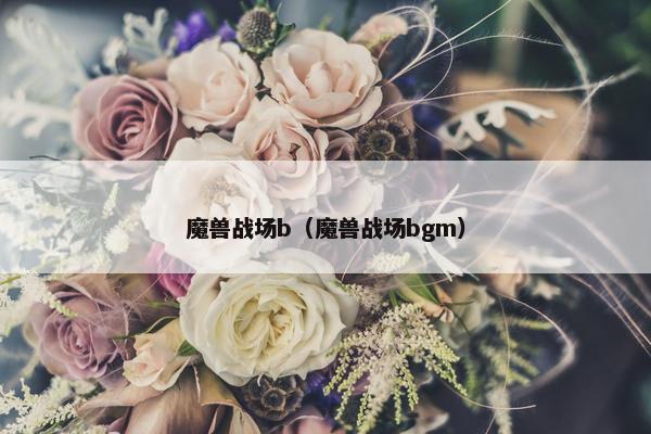 魔兽战场b（魔兽战场bgm）