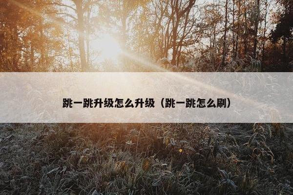 跳一跳升级怎么升级（跳一跳怎么刷）