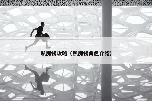 私房钱攻略（私房钱角色介绍）