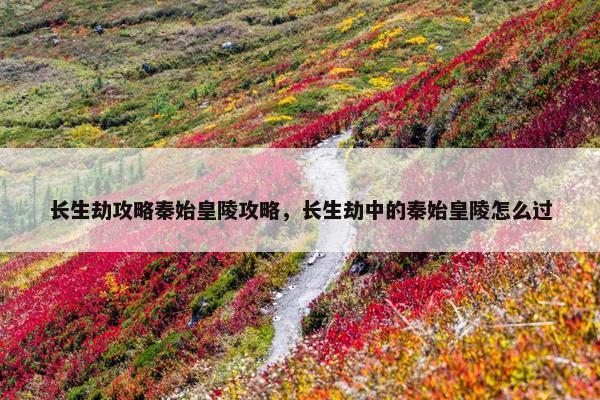 长生劫攻略秦始皇陵攻略，长生劫中的秦始皇陵怎么过