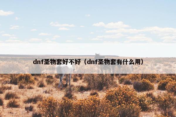 dnf圣物套好不好（dnf圣物套有什么用）