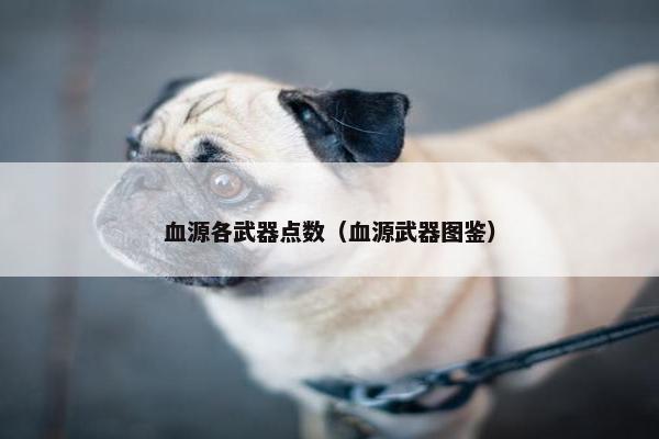 血源各武器点数（血源武器图鉴）