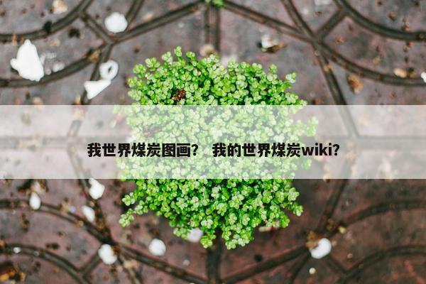 我世界煤炭图画？ 我的世界煤炭wiki？