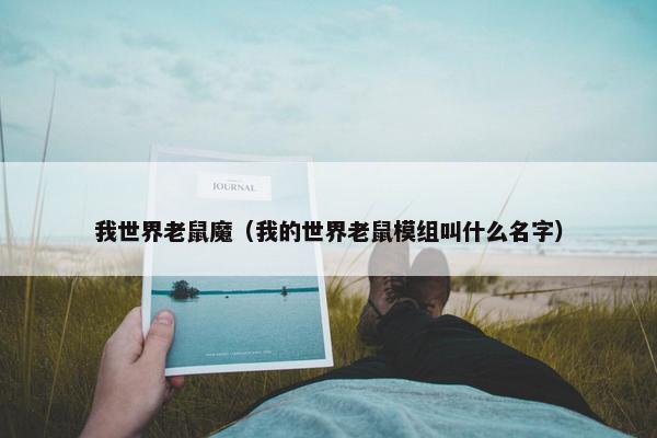 我世界老鼠魔（我的世界老鼠模组叫什么名字）