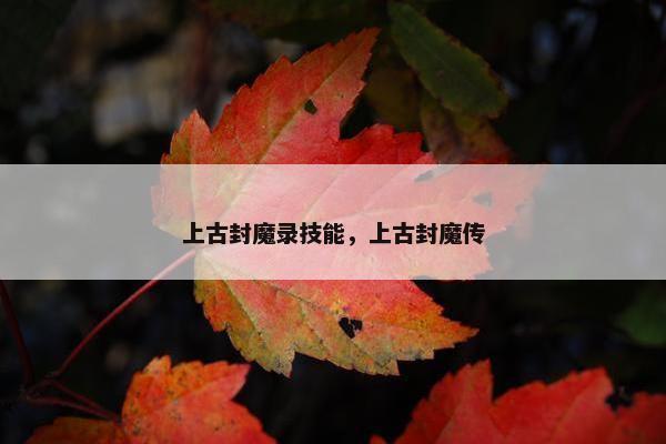 上古封魔录技能，上古封魔传