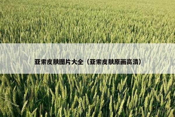 亚索皮肤图片大全（亚索皮肤原画高清）