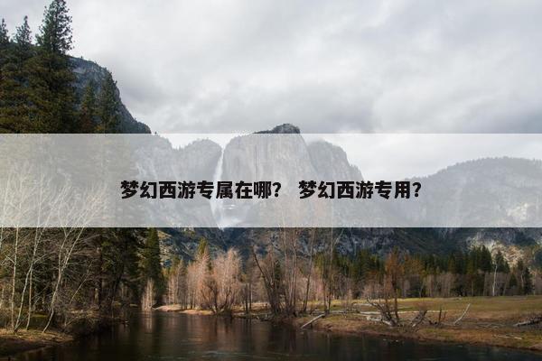 梦幻西游专属在哪？ 梦幻西游专用？