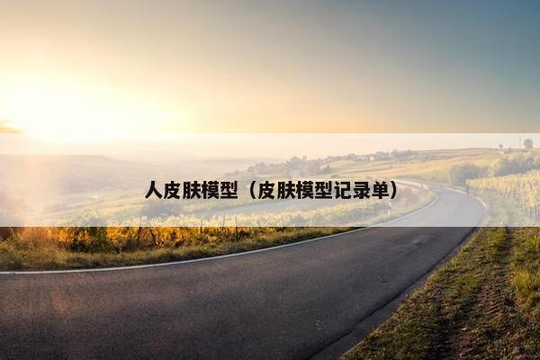 人皮肤模型（皮肤模型记录单）
