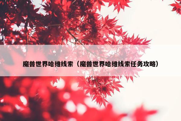 魔兽世界哈维线索（魔兽世界哈维线索任务攻略）