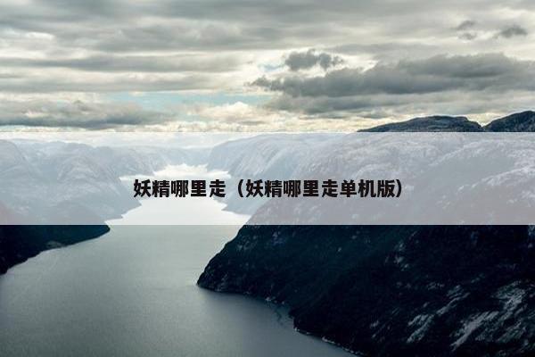 妖精哪里走（妖精哪里走单机版）
