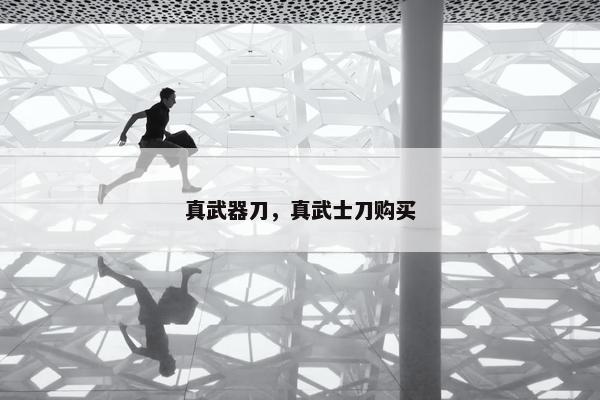 真武器刀，真武士刀购买