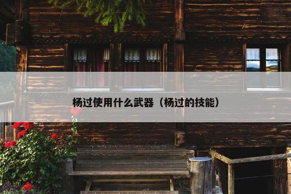 杨过使用什么武器（杨过的技能）